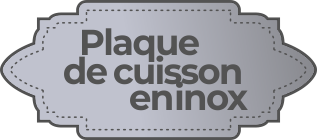 Plaque de cuisson en inox 304, idéal pour la cuisine en extérieur.